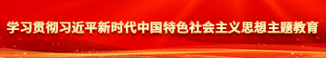 看3d操逼潮喷网站学习贯彻习近平新时代中国特色社会主义思想主题教育