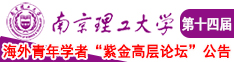 青苹果羞答答达兔南京理工大学第十四届海外青年学者紫金论坛诚邀海内外英才！